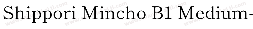 Shippori Mincho B1 Medium字体转换